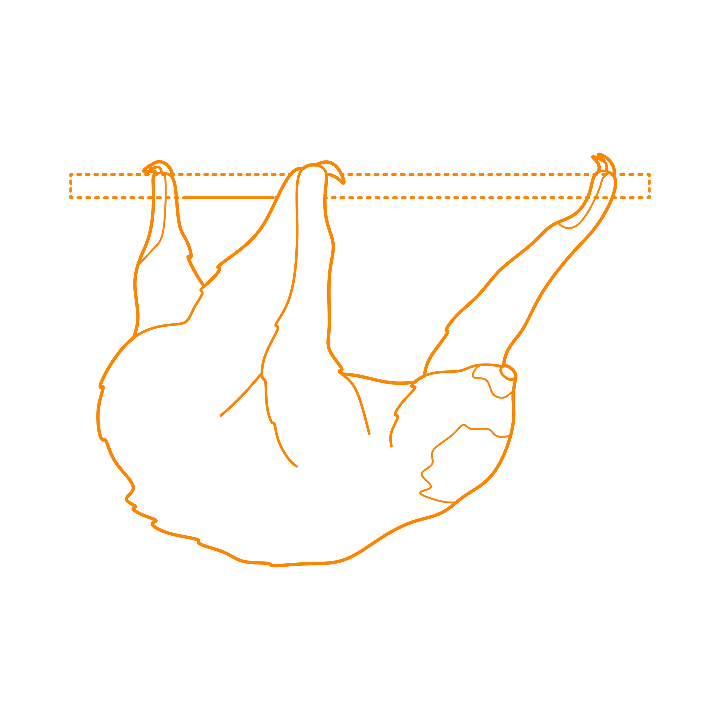 Animals Sloths Hoffmanns Two Toed Sloth Editable Svg Line Art Free Vectors